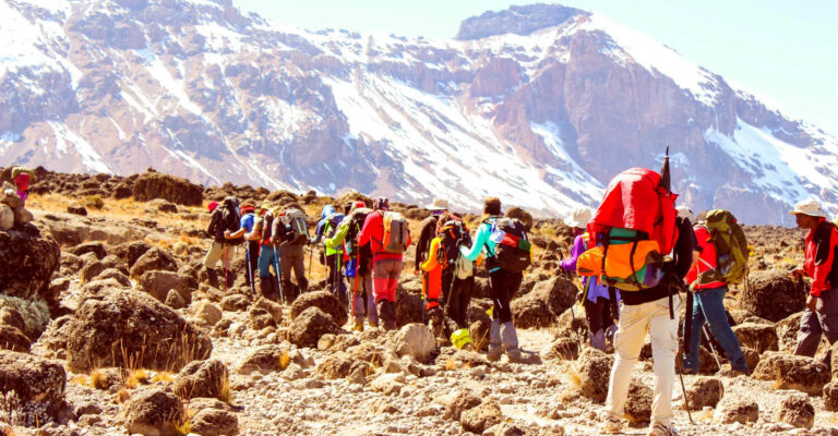 8 Days Lemosho Route
