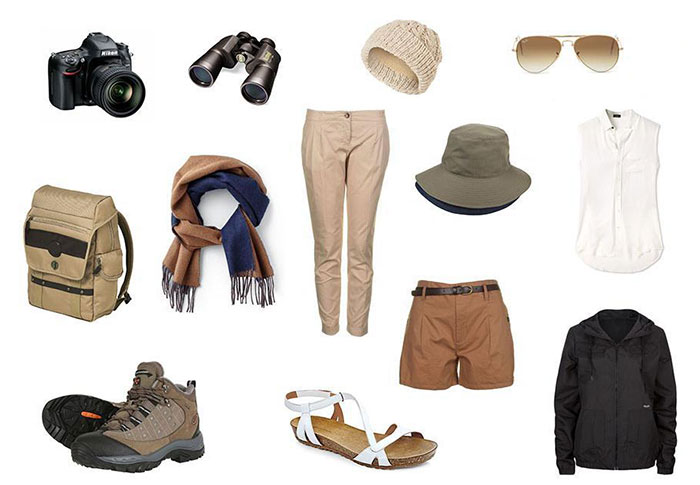 what-to-pack-for-asafari